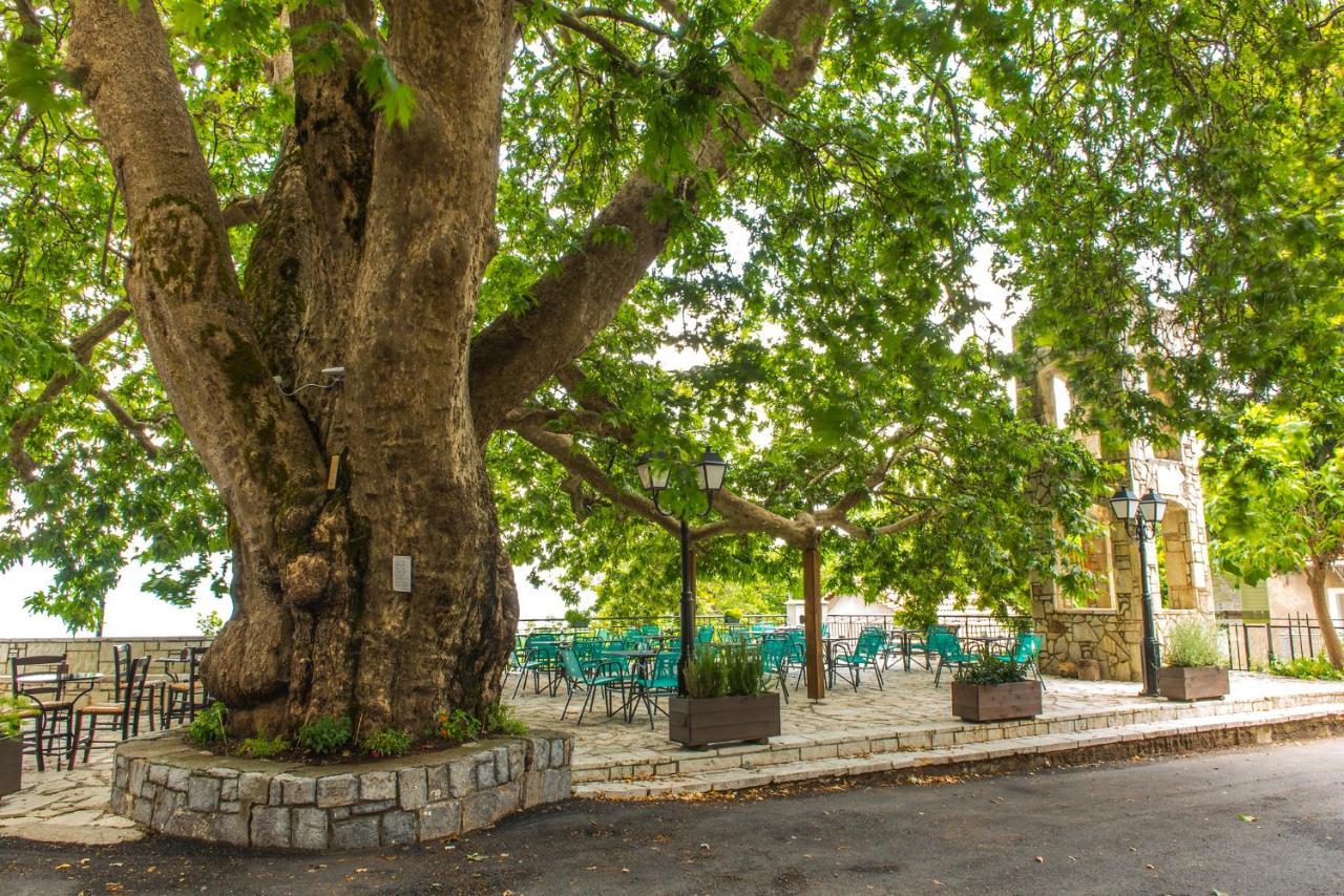 «Σκλάβας Χνάρι» Παραδοσιακός Ξενώνας Apartamento Magouliana Exterior foto
